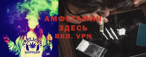 прущие крисы Бородино