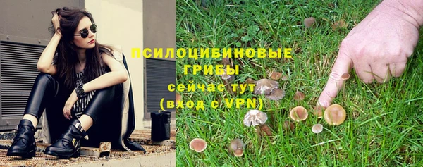 крисы Бугульма