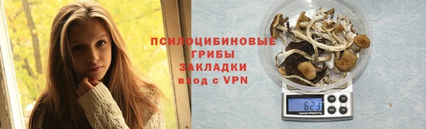крисы Бугульма