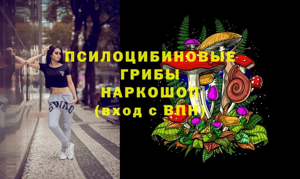прущие крисы Бородино