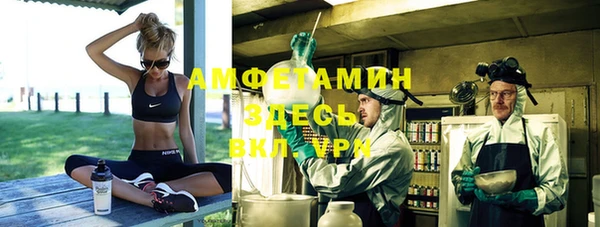 прущие крисы Бородино
