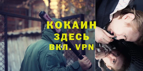 прущие крисы Бородино