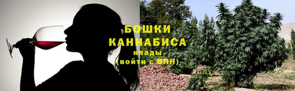 крисы Бугульма