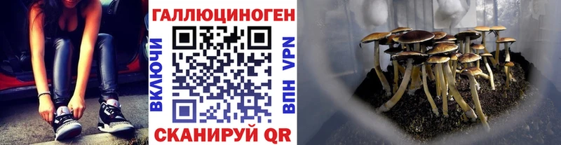 закладки  kraken   Псилоцибиновые грибы мухоморы  Екатеринбург 